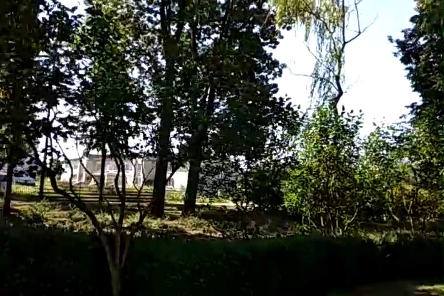 http://upforme.ru/uploads/001a/9f/a0/9/428764.jpg