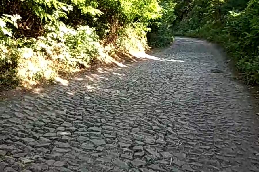 http://upforme.ru/uploads/001a/9f/a0/9/434493.jpg