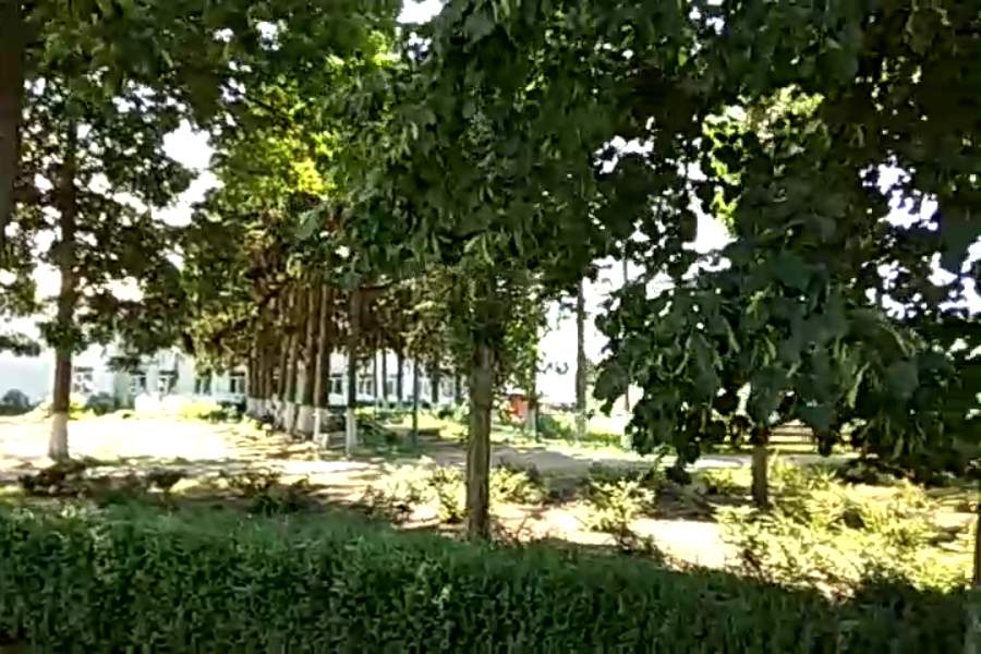http://upforme.ru/uploads/001a/9f/a0/9/483919.jpg