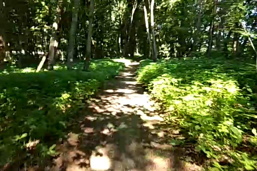 http://upforme.ru/uploads/001a/9f/a0/9/486795.jpg