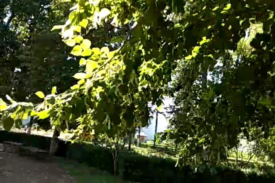 http://upforme.ru/uploads/001a/9f/a0/9/500728.jpg