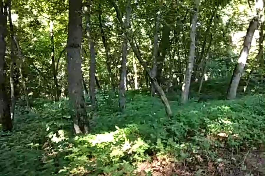 http://upforme.ru/uploads/001a/9f/a0/9/543700.jpg