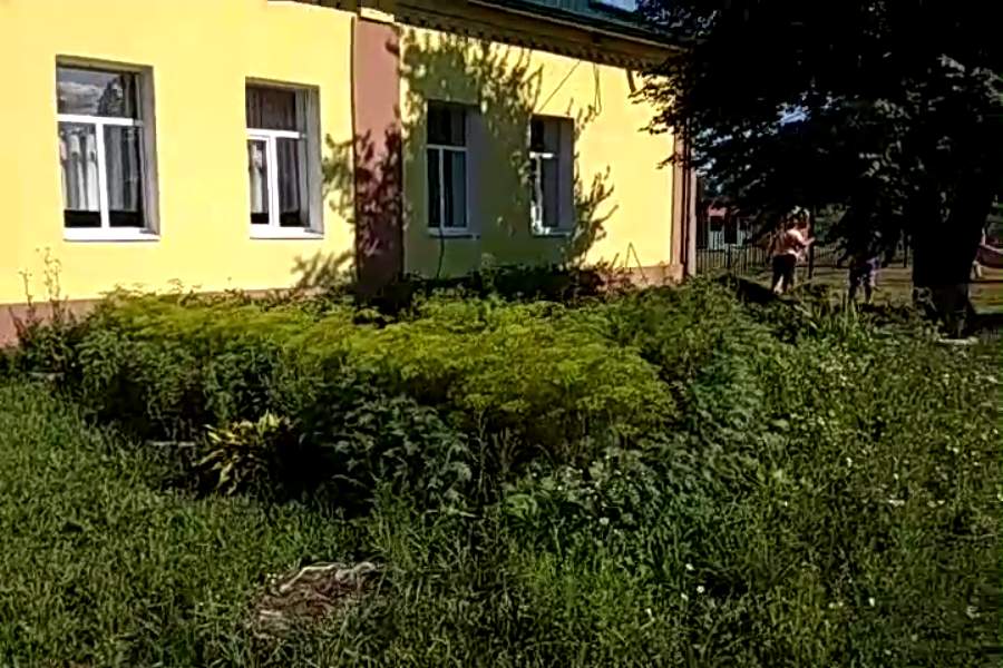 http://upforme.ru/uploads/001a/9f/a0/9/599541.jpg