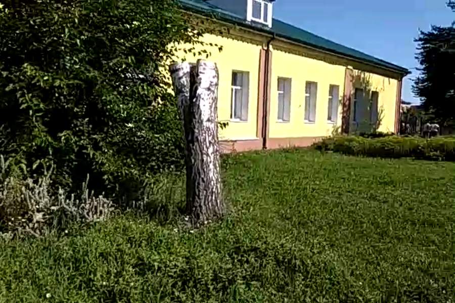 http://upforme.ru/uploads/001a/9f/a0/9/715689.jpg