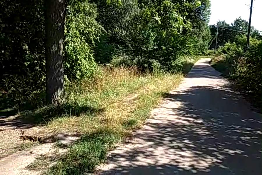 http://upforme.ru/uploads/001a/9f/a0/9/726330.jpg