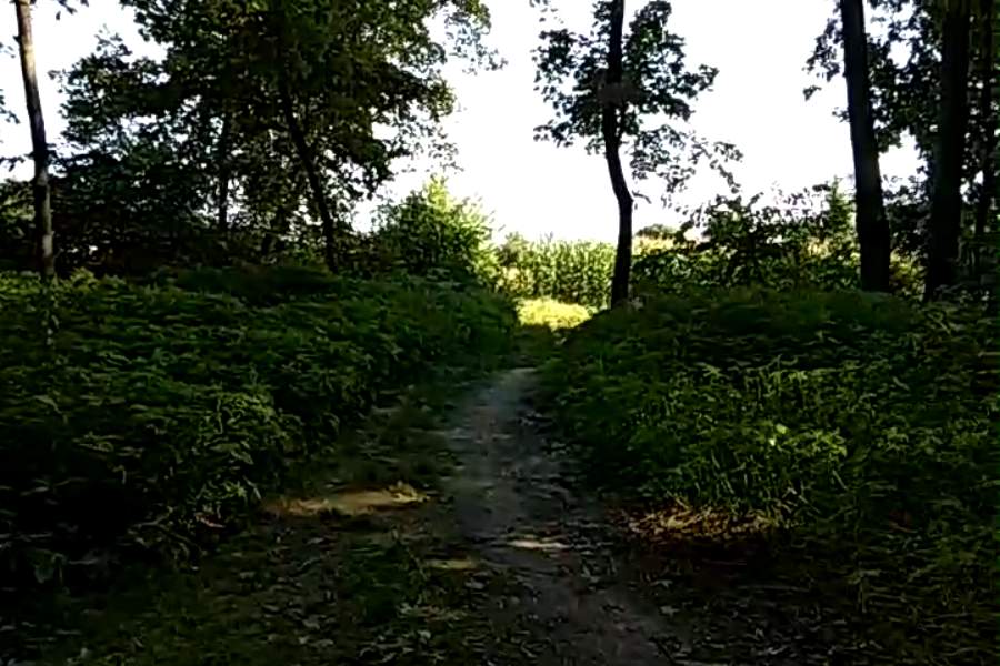 http://upforme.ru/uploads/001a/9f/a0/9/744570.jpg