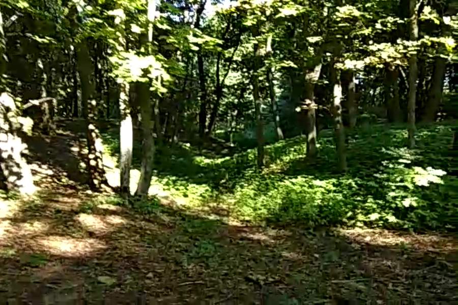 http://upforme.ru/uploads/001a/9f/a0/9/769313.jpg