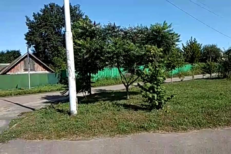 http://upforme.ru/uploads/001a/9f/a0/9/791275.jpg