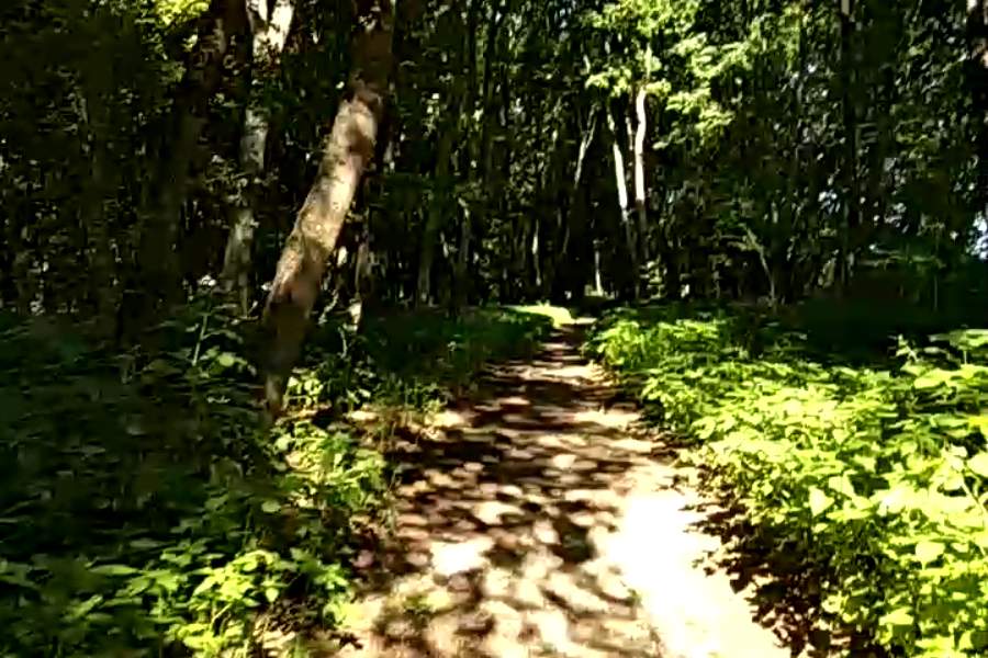 http://upforme.ru/uploads/001a/9f/a0/9/891059.jpg