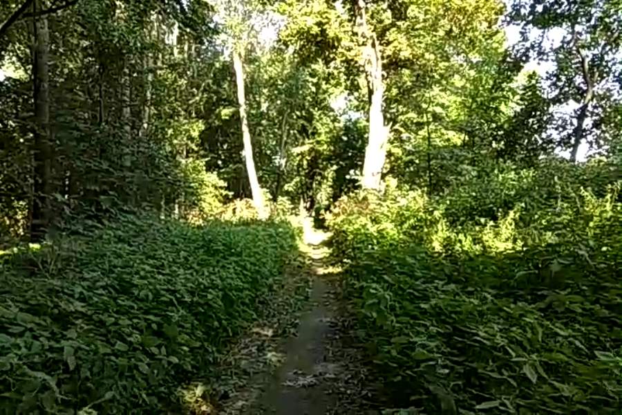 http://upforme.ru/uploads/001a/9f/a0/9/949413.jpg