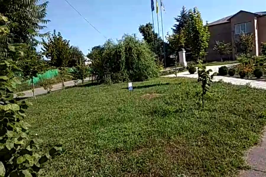 http://upforme.ru/uploads/001a/9f/a0/9/973314.jpg