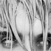 http://upforme.ru/uploads/001a/a1/70/9/130210.png