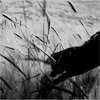 http://upforme.ru/uploads/001a/a1/70/9/940318.png