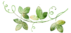 http://upforme.ru/uploads/001a/a2/fb/2/55001.png