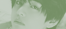 http://upforme.ru/uploads/001a/a2/fb/2/81247.png