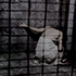 http://upforme.ru/uploads/001a/a5/f0/716/178346.png