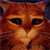 http://upforme.ru/uploads/001a/a6/1d/22/88483.gif
