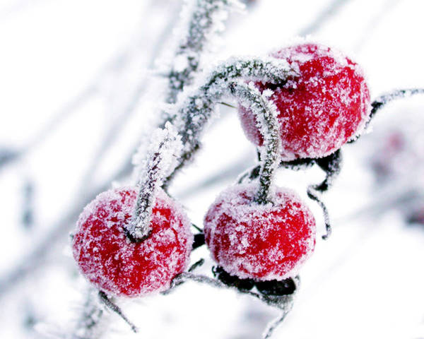 http://upforme.ru/uploads/001a/a7/99/2/t28363.jpg