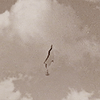 http://upforme.ru/uploads/001a/a8/1d/28/87064.gif