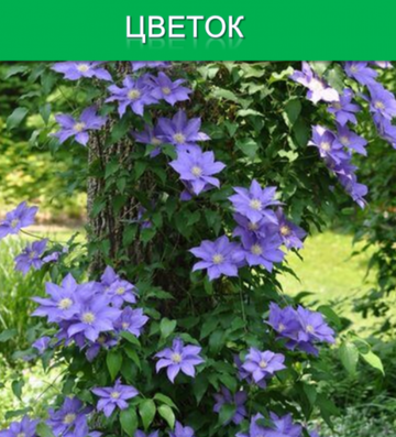 http://upforme.ru/uploads/001a/a8/26/2/t153413.png