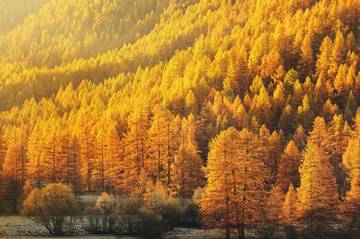 http://upforme.ru/uploads/001a/a8/26/2/t46067.jpg