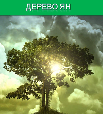 http://upforme.ru/uploads/001a/a8/26/2/t544958.png