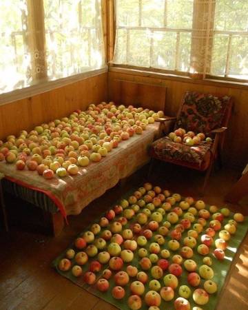 http://upforme.ru/uploads/001a/a8/26/2/t59247.jpg