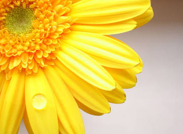 http://upforme.ru/uploads/001a/a8/26/2/t635358.jpg