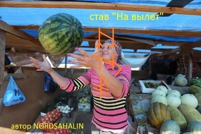 http://upforme.ru/uploads/001a/a8/26/2/t846373.jpg