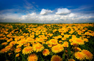 http://upforme.ru/uploads/001a/a8/26/2/t892108.jpg