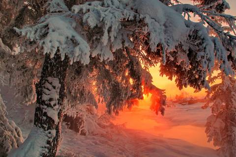 http://upforme.ru/uploads/001a/a8/26/2/t89370.jpg