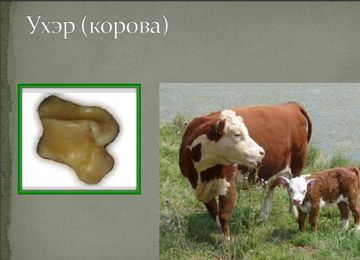 http://upforme.ru/uploads/001a/a8/26/7/t138400.png