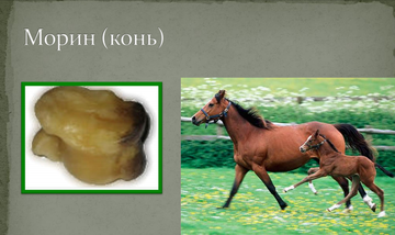 http://upforme.ru/uploads/001a/a8/26/7/t460667.png