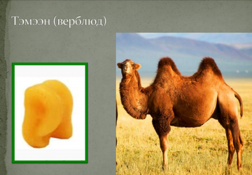 http://upforme.ru/uploads/001a/a8/26/7/t770319.png
