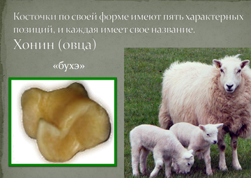http://upforme.ru/uploads/001a/a8/26/7/t922013.png