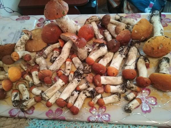 http://upforme.ru/uploads/001a/a8/fa/4/t100628.jpg