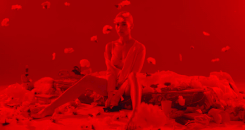 http://upforme.ru/uploads/001a/ac/b5/87/14454.gif