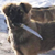 http://upforme.ru/uploads/001a/ad/70/65/34351.png