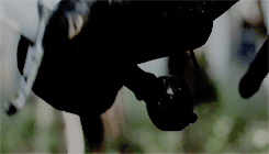 http://upforme.ru/uploads/001a/ae/83/8/226248.gif