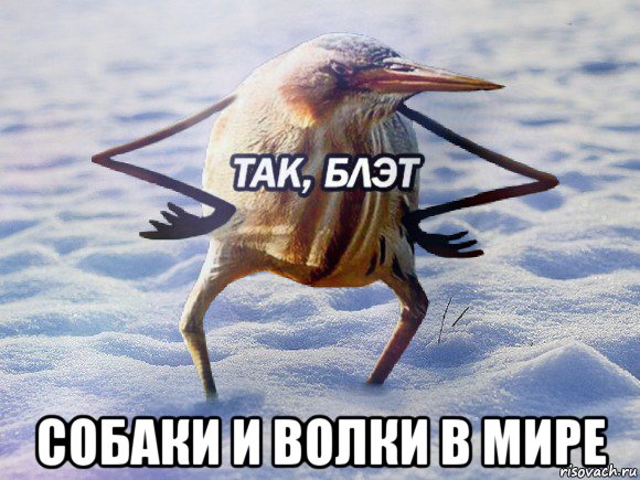 http://upforme.ru/uploads/001a/af/e5/2/731496.jpg
