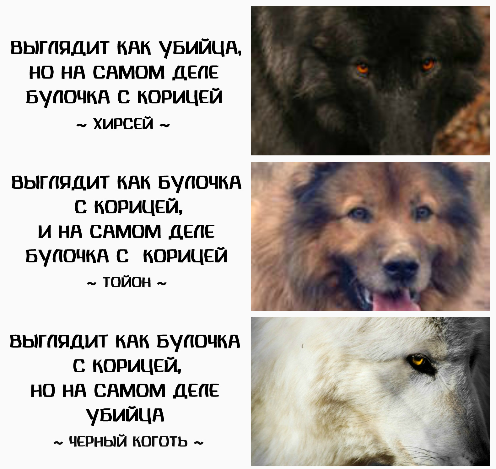 http://upforme.ru/uploads/001a/af/e5/23/405542.jpg