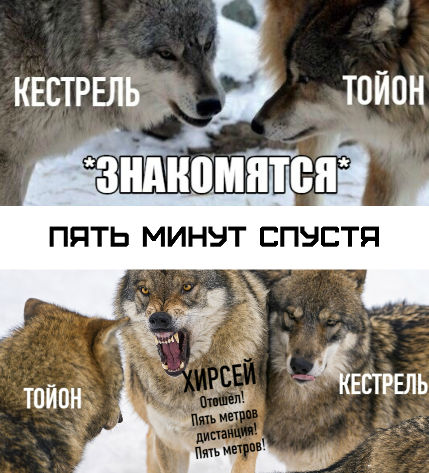 http://upforme.ru/uploads/001a/af/e5/23/482413.jpg