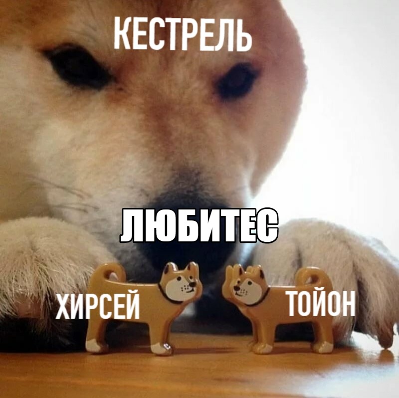 http://upforme.ru/uploads/001a/af/e5/23/646168.jpg