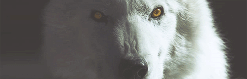 http://upforme.ru/uploads/001a/af/e5/27/13029.gif