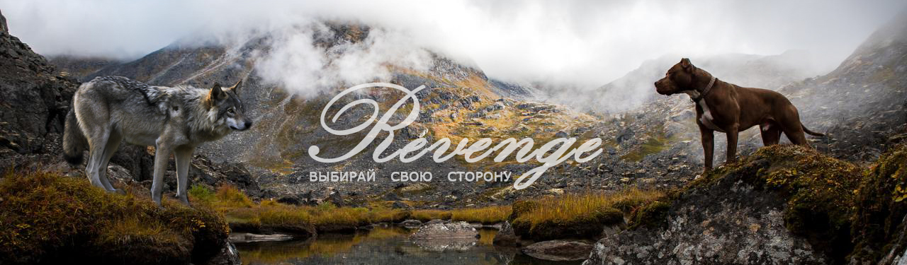 http://upforme.ru/uploads/001a/af/e5/27/424209.jpg