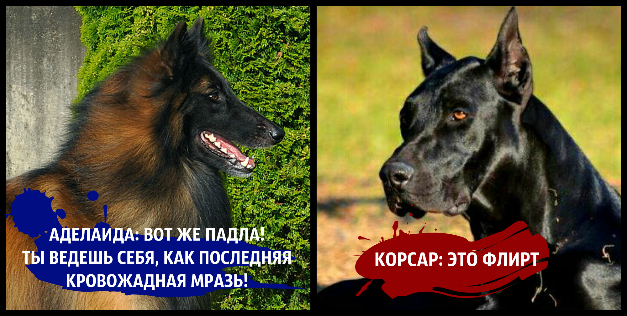 http://upforme.ru/uploads/001a/af/e5/27/560188.jpg