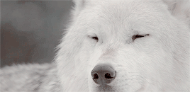 http://upforme.ru/uploads/001a/af/e5/27/636309.gif