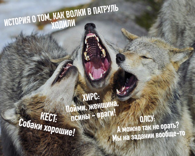 http://upforme.ru/uploads/001a/af/e5/27/672389.jpg