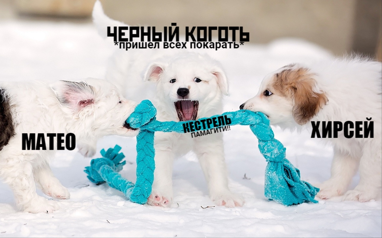 http://upforme.ru/uploads/001a/af/e5/27/692648.jpg