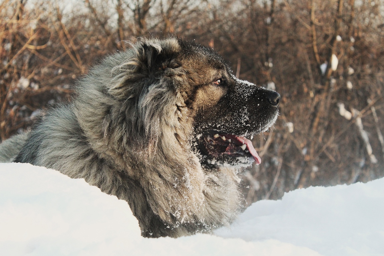 http://upforme.ru/uploads/001a/af/e5/27/765985.jpg